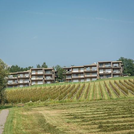Wohnen Im Wein Leilighet Ehrenhausen Eksteriør bilde