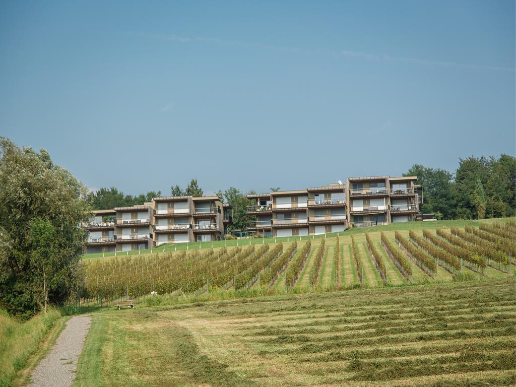 Wohnen Im Wein Leilighet Ehrenhausen Eksteriør bilde